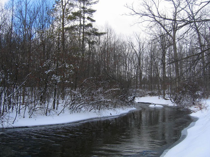 Michigan Creek